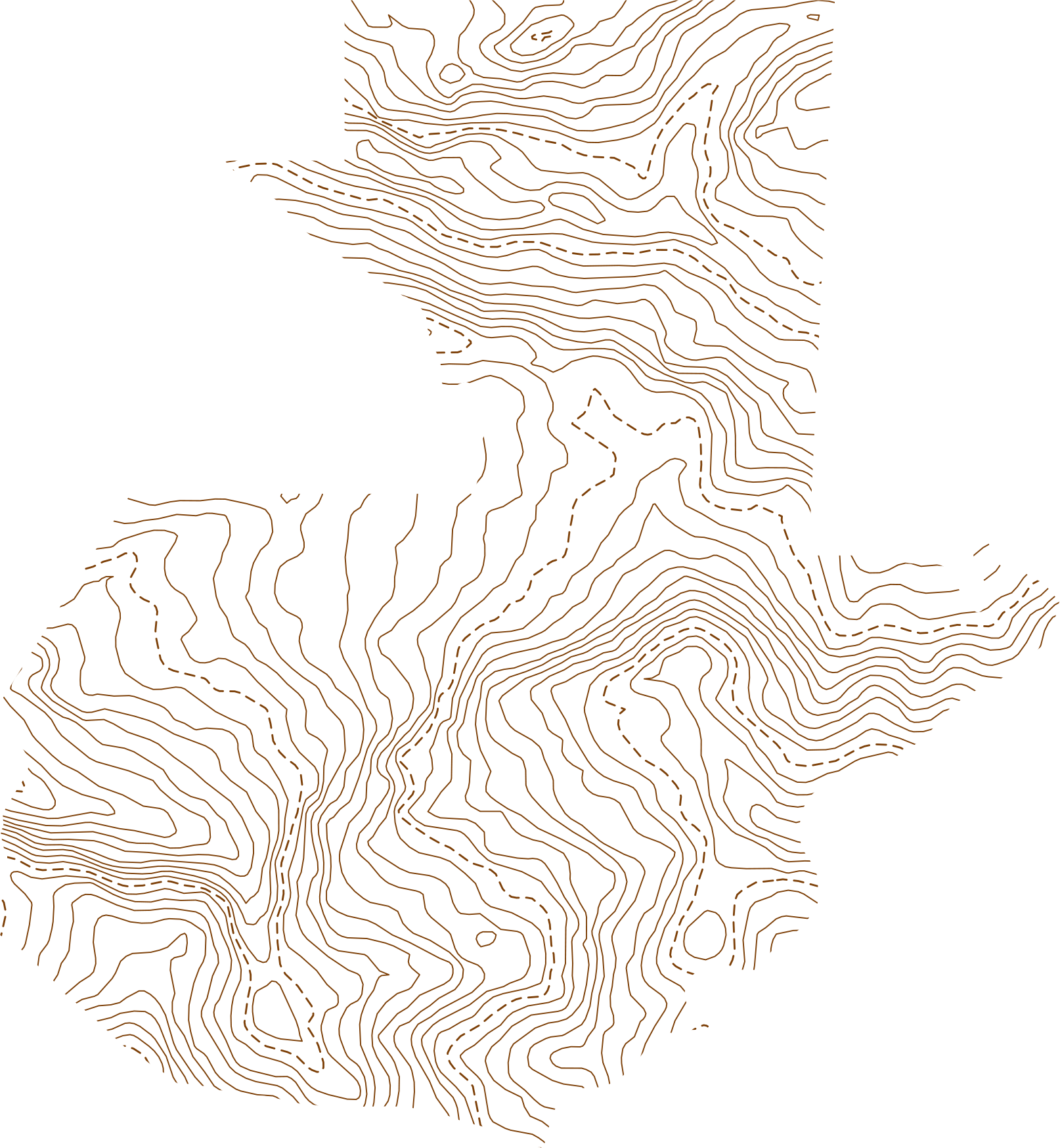 Mapa de Cobertura Palmera Fleet